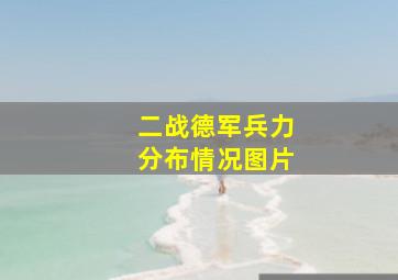 二战德军兵力分布情况图片