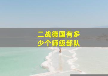 二战德国有多少个师级部队