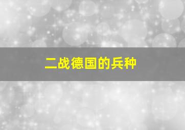 二战德国的兵种