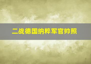 二战德国纳粹军官帅照