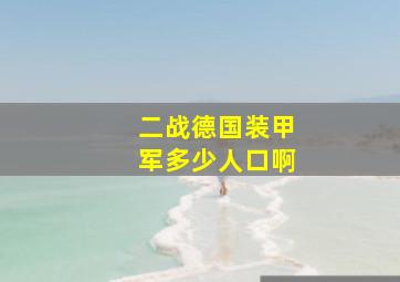 二战德国装甲军多少人口啊