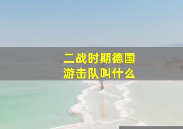 二战时期德国游击队叫什么