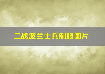 二战波兰士兵制服图片