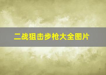 二战狙击步枪大全图片