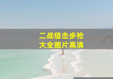 二战狙击步枪大全图片高清