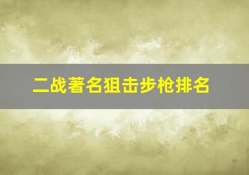 二战著名狙击步枪排名