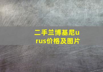 二手兰博基尼urus价格及图片