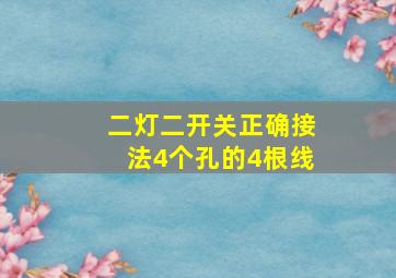 二灯二开关正确接法4个孔的4根线