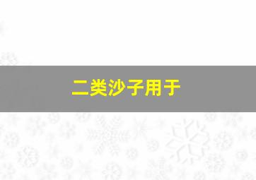 二类沙子用于