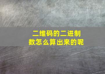 二维码的二进制数怎么算出来的呢