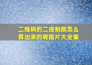 二维码的二进制数怎么算出来的呢图片大全集