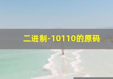 二进制-10110的原码