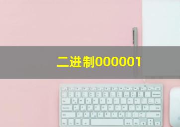 二进制000001