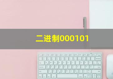 二进制000101