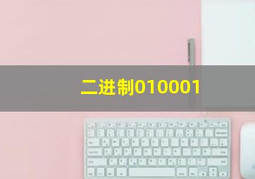 二进制010001