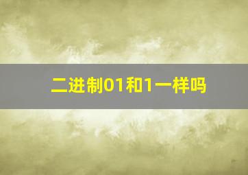 二进制01和1一样吗