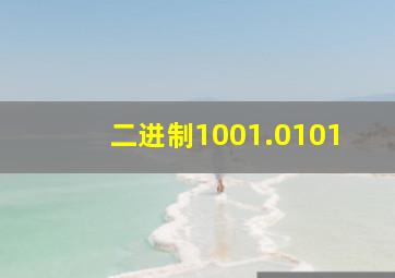 二进制1001.0101