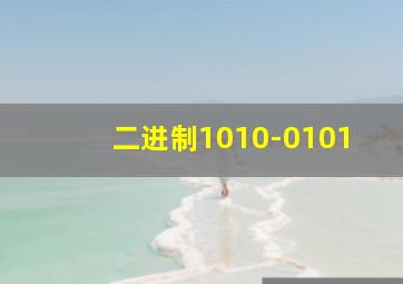 二进制1010-0101