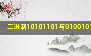 二进制10101101与01001011的和