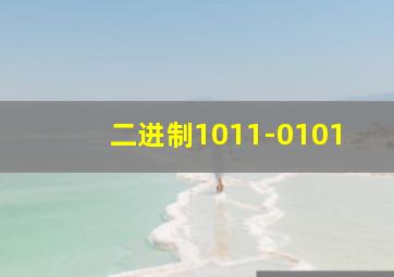 二进制1011-0101