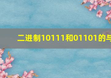 二进制10111和01101的与