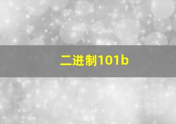 二进制101b