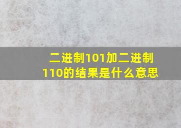 二进制101加二进制110的结果是什么意思