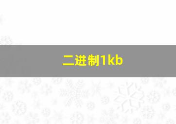 二进制1kb