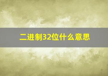 二进制32位什么意思