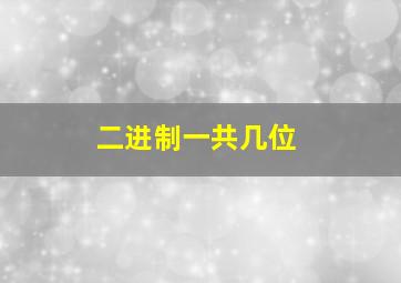 二进制一共几位