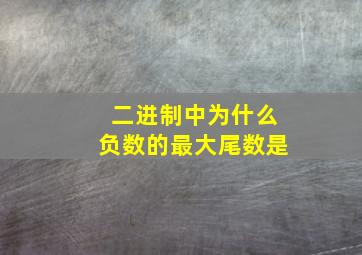 二进制中为什么负数的最大尾数是