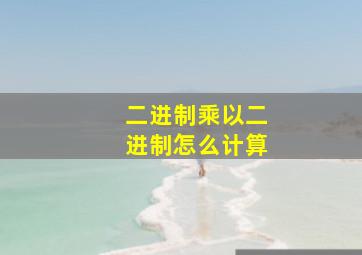 二进制乘以二进制怎么计算