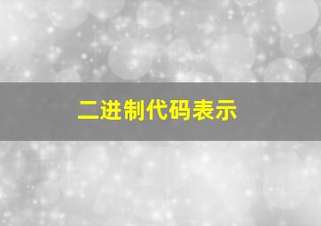 二进制代码表示