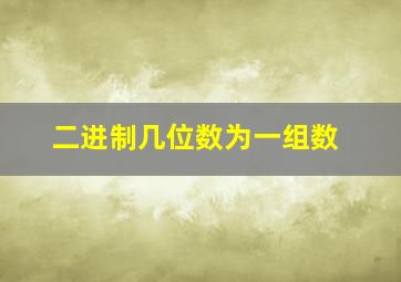 二进制几位数为一组数