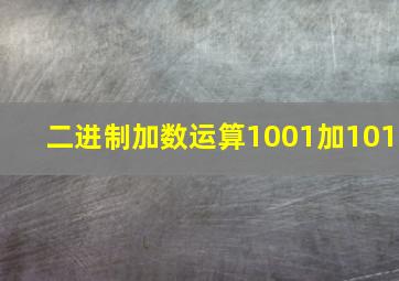 二进制加数运算1001加101