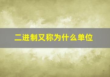 二进制又称为什么单位