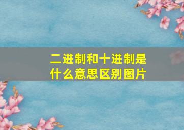 二进制和十进制是什么意思区别图片