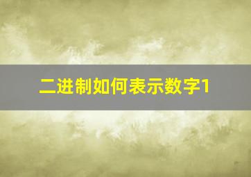 二进制如何表示数字1