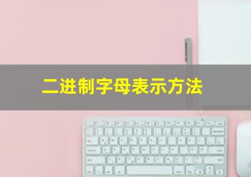 二进制字母表示方法