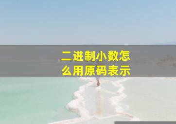 二进制小数怎么用原码表示