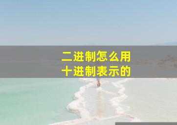 二进制怎么用十进制表示的