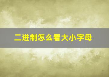 二进制怎么看大小字母