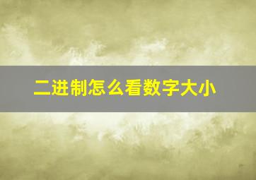 二进制怎么看数字大小