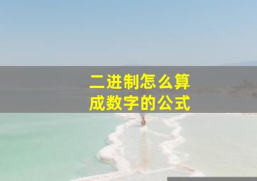 二进制怎么算成数字的公式