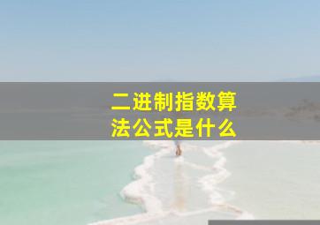 二进制指数算法公式是什么