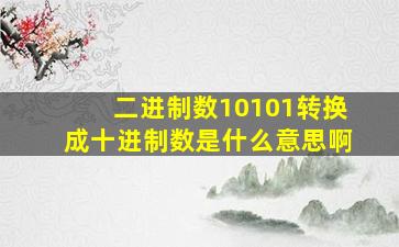 二进制数10101转换成十进制数是什么意思啊