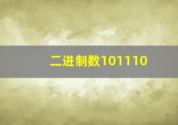 二进制数101110