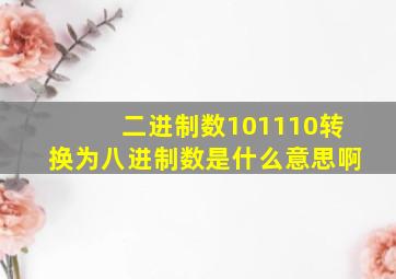 二进制数101110转换为八进制数是什么意思啊