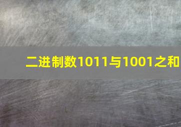 二进制数1011与1001之和