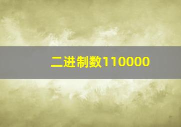 二进制数110000